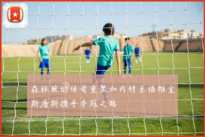 森林狼的传奇重聚加内特乐福维金斯唐斯携手夺冠之路